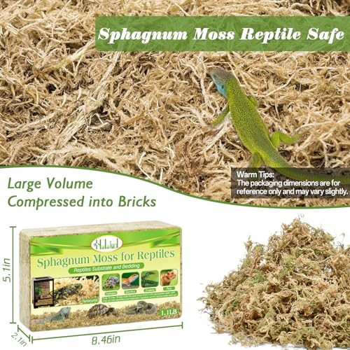 Sphagnum Moss for Reptiles, 1.1 lb Natural Terrarium Substrate Bedding | Long-fibered Sphagnum Moss for Reptile, Holds Humidity for Bearded Dragons, Geckos, Snakes, Turtles, and Hermit Crabs - size: 1.1 LB