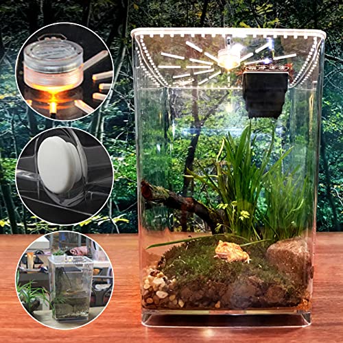 Acrylic Clear Reptile Terrarium Enclosure Cage, Reptile Breeding Box Lizard Spider Tank Climbing Pet Box with LED Light