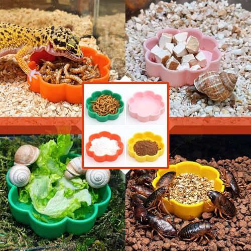 4 Pack Flower Shaped Reptile Feeding Dish, Colorful Plastic Food & Water Bowls for Leopard Gecko, Lizard, Hermit Crab, Turtle, Isopods, Small Reptiles & Invertebrates