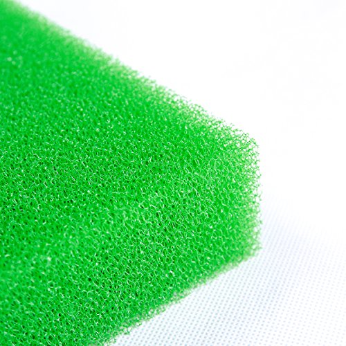 AQUANEAT Aquarium Filter Sponge Open Cell Foam Sheet Bio Sponge Filter Media Pad HMF Fish Tank Sump Divider (11" Lx 10.25" W x 2" H, Green) - color: Green, size: 11" Lx 10.25"W x 2"H