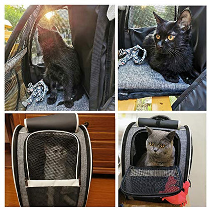 Texsens Innovative Traveler Bubble Backpack Pet Carriers for Cats and Dogs - color: Upgraded-Black