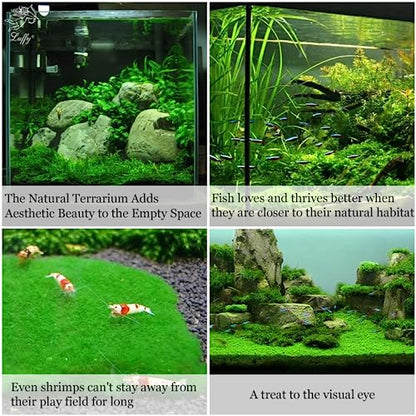 Luffy Decorative Aquatic Moss Wall, 2 Plastic Floor Wire Mesh Sheets, Air Vent Screens, Aquarium Plant Accessory for Seaweed, Net Pad for DIY Projects, Carpet for Fish Tank, 12 x 8 Inches