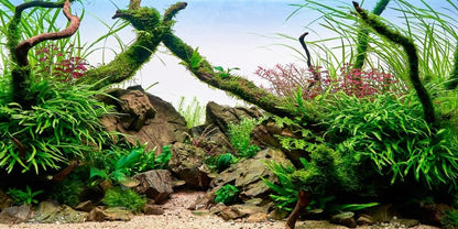 YongFoto Fish Tank Background 24x12 inch Aquarium Background River Bed Waterweeds Moss Lake Aquatic Plant Undersea Tree Branch Backdrop Reptile Habitat Terrarium Background - color: Green-5, size: 24x12in/60x30cm