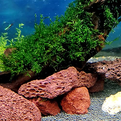 Tfwadmx Aquarium Red Lava Rock 10 Pcs Fish Tank Volcanic Pumice Stones for Betta Fish Shrimp (1.96''-3.14'') - color: Red, size: L:2''-3.2''