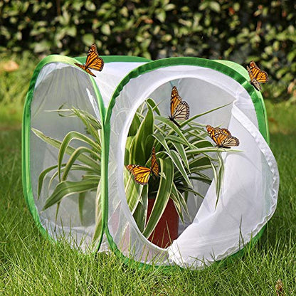 RESTCLOUD Insect and Butterfly Habitat Cage Terrarium Pop-up 12 X 12 X 12 Inches - color: White With Green, size: 12 x 12 x 12 inches