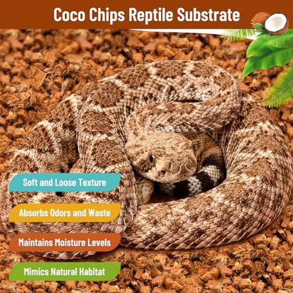 Riare 6Pack Coconut Husk Chip for Reptiles, 6.6 LB Coconut Fiber Substrate | Coco Chips Substrate Coconut Husk Bedding for Snakes, Tortoises, Ball Python, Bearded Dragon, Geckos, Lizards, Frogs - color: 6 Pack
