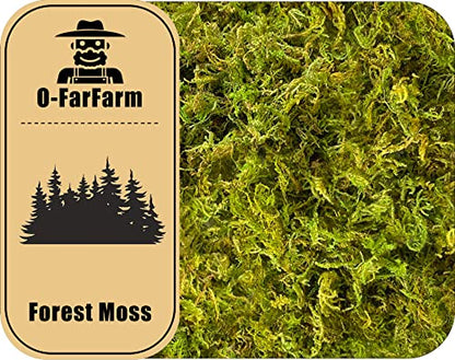 Dried Forest Moss for Plants 16oz / 9qt, Green Orchid Sphagnum Moss, Long Fibered Dried Moss for Succulents Garden Flowers Pot and Reptiles - size: 9qt/16oz