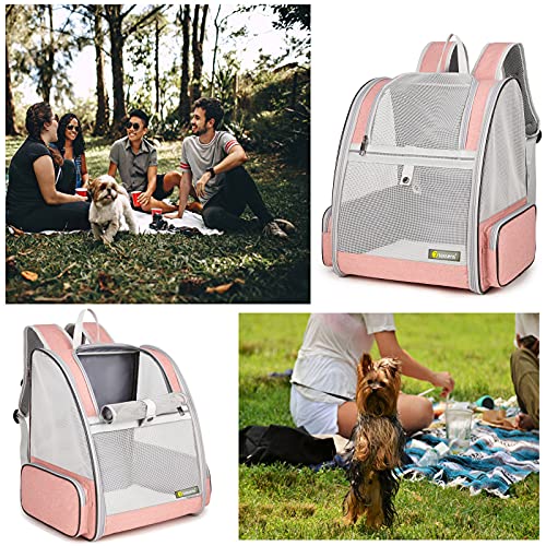 Texsens Innovative Traveler Bubble Backpack Pet Carriers for Cats and Dogs - color: Mesh Pink