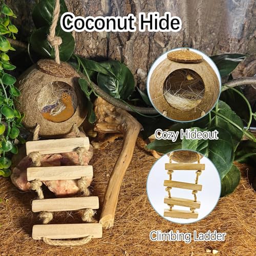 kathson 9PCS Leopard Gecko Tank Accessories,Reptile Hanging Plants and Vines Coconut Shell Hut with Ladder Habitat Decor for Climbing Bearded Dragon Lizard Snake Hermit Crab Chameleon - size: 9PCS