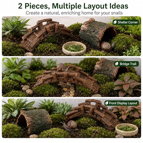 Pet Snail Hideout and Climbing Bridge Set for Terrarium Habitat Decor (Hideout) | Low-Profile Bark-Style Hideout and 17 cm Bridge for Natural Resting and Crawling Routes