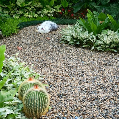 5 lbs Aquarium Gravel, 1-2mm Fish Tank Gravel, Premium Gravel and Substrate for Aquariums, Fish Tanks and Terrariums - size: 1-2mm