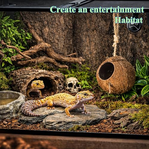 HERCOCCI Gecko Tank Accessories, Hermit Crab Toys Coconut Shell | Natural Coconut Husk Hut with Climbing Ladder with Suction Cup for Leopard Gecko Snake Reptiles