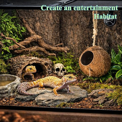 HERCOCCI Gecko Tank Accessories, Hermit Crab Toys Coconut Shell | Natural Coconut Husk Hut with Climbing Ladder with Suction Cup for Leopard Gecko Snake Reptiles