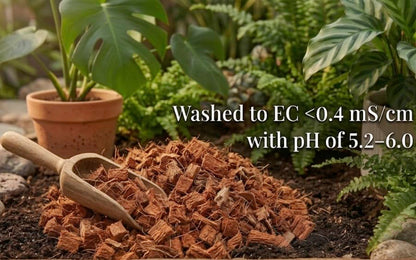 Coco Husk Chips Bricks Bulk 100 or 200 Pack (11 lb / 5 kg Each) – Pre-Washed, Low EC Coconut Substrate for Orchids, Aroids & Hydroponics – Expands 7X – Mulch, Potting Mix & Reptile Bedding (100)