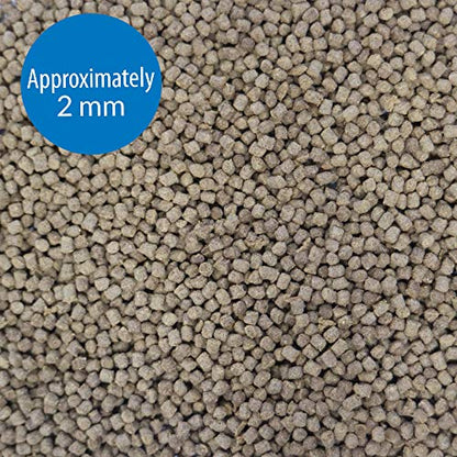 API GOLDFISH PELLETS Fish Food 4-Ounce Container, Medium, Model:833B - size: 4 Ounce (Pack of 1), style: Goldfish