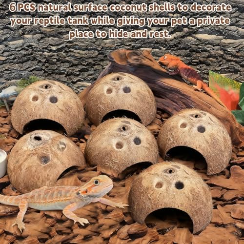 PINVNBY Natural Coconut Reptile Hideouts Lizard, Coco Hut Hermit Crab Hut Aquarium Fish Hide Cave for Small Reptile Crested Gecko Leopard Gecko Spider Snail Climber Toys (6 PCS Natural Surface) - size: 6 PCS Natural Surface