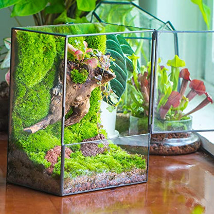 NCYP Close Glass Terrarium with Door - 7.8 x 5.1 x 9.8 Inches Landscape Clear Glass Planter for Small Tropical Plants, Moss Wall - Indoor Tabletop Centerpiece, Garden Decor (Terrarium Only) - size: 7.8x5.1x9.8 inches