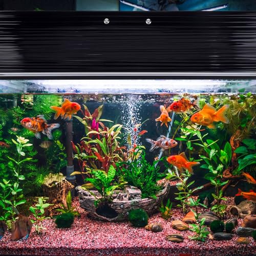 Sieral Aquarium Lids Canopy Set, 30 x 12 Inch, Black, 1 Pcs | Polycarbonate Greenhouse Panels, 29 x 11.38 x 0.24 In, for 20/29/37 Gallon 30" x 12" Aquarium without Center Brace - color: Black, size: 30 x 12 Inch