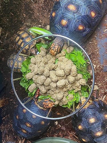 Wontee Tortoise Feeding Dish Reptile Water Dish Food Bowl Stainless Steel Feeder for Tortoises Lizards Turtles Chameleon (S) - size: S