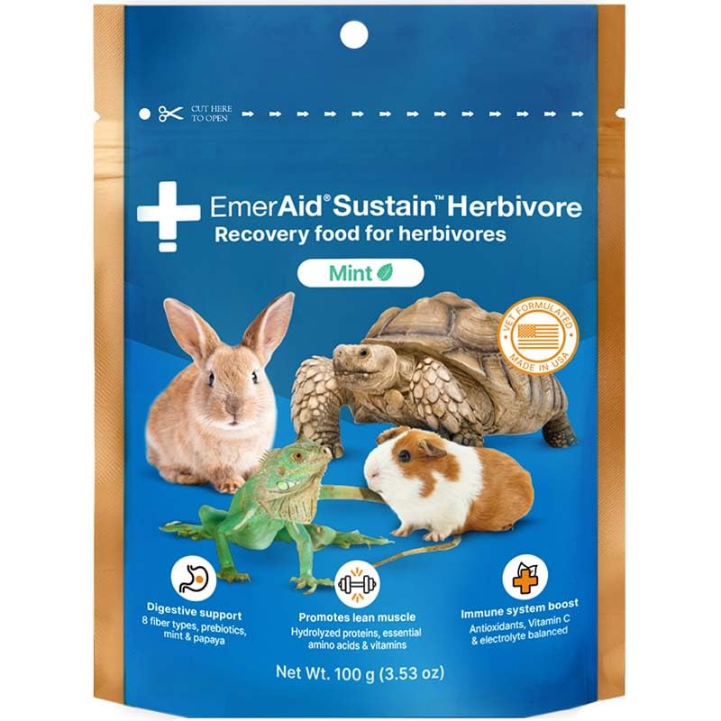 Sustain Herbivore Mint (100 g) | Nutritionally complete recovery food for herbivorous small pets and reptiles - size: 100 g