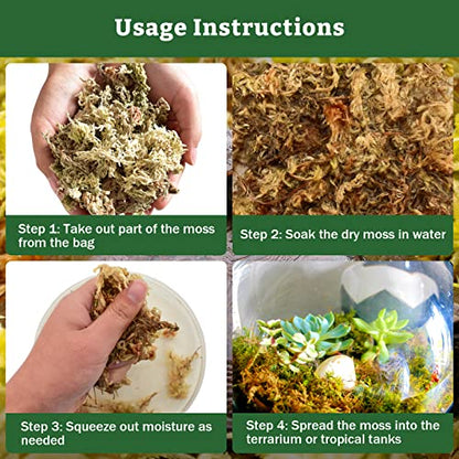 Riare 5.3oz Natural Sphagnum Moss for Reptiles- Terrarium Reptiles Moss | 6QT High Expansion, Moisture Retention, Long Fiber Dried Moss Bedding for Lepard Gecko Snakes Turtles Frogs Spiders - color: 5.3OZ