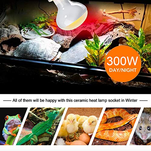 CHICIRIS 300W Lamp Socket, 360° Rotatable Heating Light Adjustable Bracket Kit with One-Button Switch, E26/E27 Ceramic Lamp Holder, for Aquarium, Lizard, Tortoise, Snake (Without