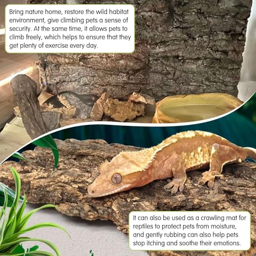 kathson 2PCS Thicker Cork Tile Background Bark 11.8 "L x 11.8" W x 1‘’ H Reptile Tank Terrarium Background Natural Reptile Climbing Mat for Spider Gecko Lizard Chameleon Bearded Dragon Snake - size: 11.8 "L x 11.8 " W x 1‘’ H