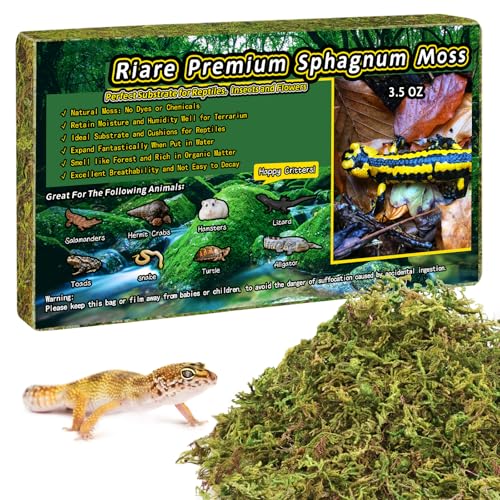 Riare 3.5oz Natural Sphagnum Moss for Reptiles, Terrarium Substrate Bedding | 4QT High Expansion, Moisture Retention, Helps Shedding, Long Fibered Dried Moss for Leopard Gecko, Snake, Frog, Turtle - color: 3.5 OZ