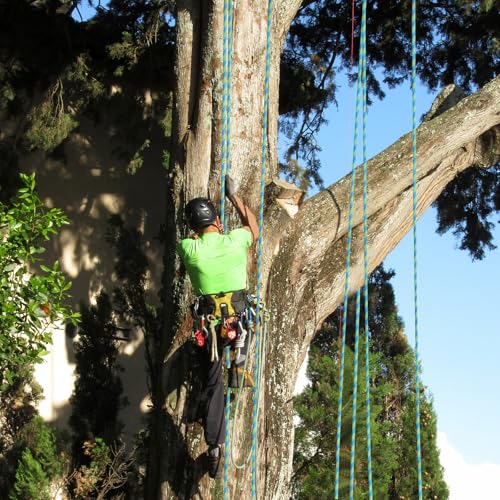 1/2 inch x 150ft Arborist Tree Climbing Rope – 48 Strand Polyester Static Bull Rope, 9000lb Breaking Strength – Heavy Duty Utility Line for Swing Pulling, Outdoor, Marine Use – ASTM F2116 Certified - size: 1/2IN x 150FT, style: Blue