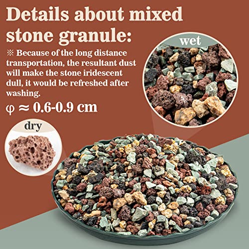 Sukh Mix Horticultural Lava Pebbles - Cactus Potting Soil Amendment 1LB | Horticultural Rocks, Succulent Cactus Bonsai Soil Rocks for Terrarium Plants, Decorative Gravel Plant Drainage Rock, 1LB