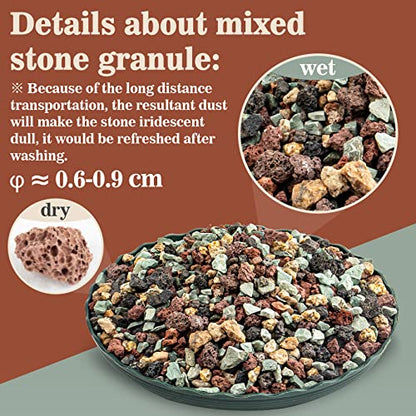 Sukh Mix Horticultural Lava Pebbles - Cactus Potting Soil Amendment 1LB | Horticultural Rocks, Succulent Cactus Bonsai Soil Rocks for Terrarium Plants, Decorative Gravel Plant Drainage Rock, 1LB
