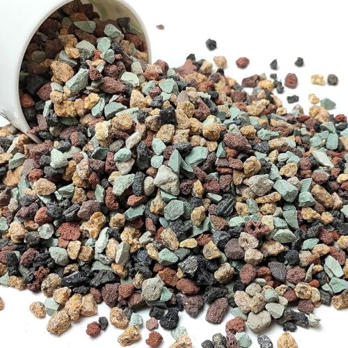 Succulent Cactus Soil Potting Mix Horticultural Lava Rocks Bonsai Soil for Indoor Plants Drainage Volcanic Rock for Terrarium Gardening Top Dressing 5lb - color: Multi, size: 5 Pounds