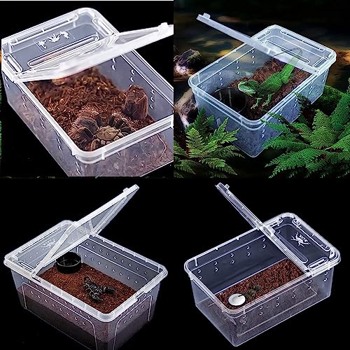 Critter Keeper Ant Farm Cane Toad Trap Little Live Pets Bug Catcher Kit for Kids Frog Habitat Turtle Tank Reptile Terrariums Lizard Cage Fish Bowl Beach Aquarium Catch and Release - size: 2