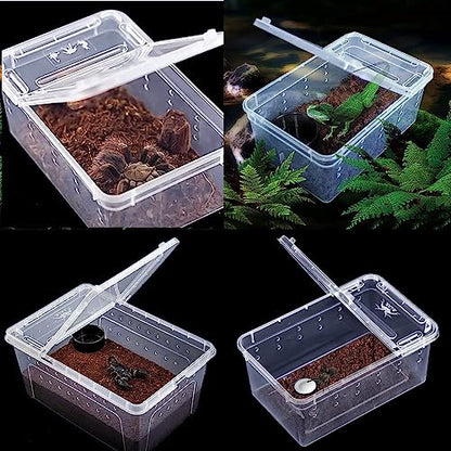 Critter Keeper Ant Farm Cane Toad Trap Little Live Pets Bug Catcher Kit for Kids Frog Habitat Turtle Tank Reptile Terrariums Lizard Cage Fish Bowl Beach Aquarium Catch and Release - size: 2