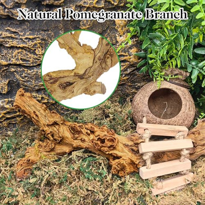 VCEPJH 2 Pack Reptile Wood Branches, Snake Climbing Branch Natural Bearded Dragon Log Tank Accessories Tree Trunk for Chameleon Gecko Snake Frog Spider - size: Pomegranate Wood (L:13.7"-15.7"-2pcs)