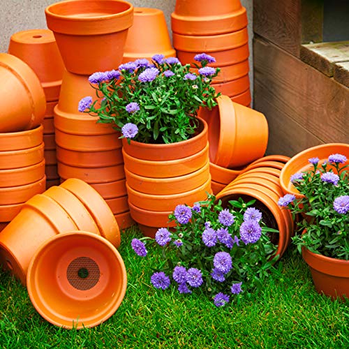 Plant Mesh Drainage Screens - 100PCS 2-Inch Reusable Grid Mats, Keep Soil in Pots for Succulents, Bonsai, Indoor Plants & Repotting