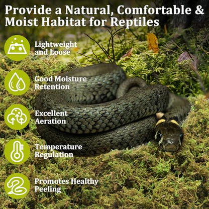 14OZ Natural Sphagnum Moss for Reptile Terrarium Substrate Bedding | 16QT High Expansion, Moisture Retention, Helps Shedding, Long Fibers Dried Moss for Leopard Gecko, Snake, Frog, Turtle - size: 14 OZ