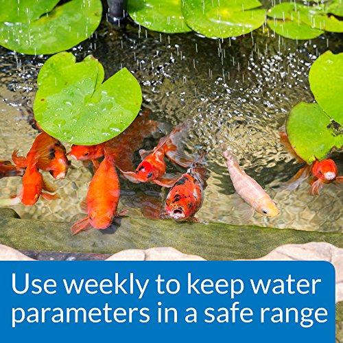 API POND MASTER TEST KIT Pond Water Test Kit 500-Test - style: Pond