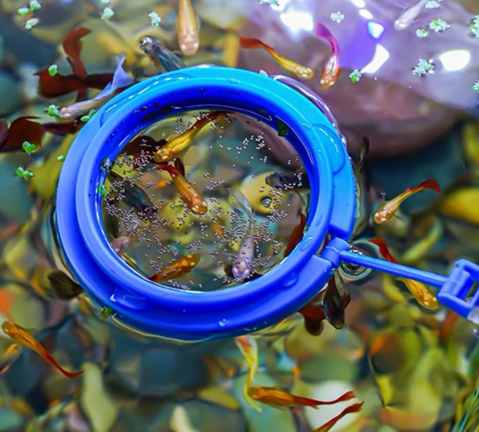 Coral Reef Grabber,Coral Feeder,Aquarium Veggie Feeder,Fish Tank Food Clip,Fish net(Reef Grabber and Coral Feeder Kits (Anti-Rust) - size: Reef grabber and coral feeder kits(ANTI-RUST)