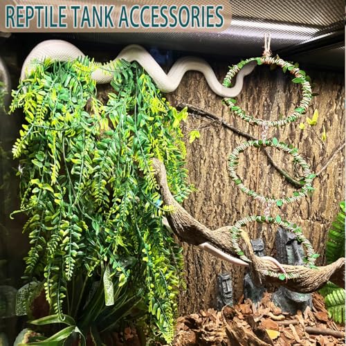 Snake Climbing Rings for Ball Python- Enclosure Accessories – Reptile Habitat Decor, Climbing Branches & Bedding for Ball Python, for Corn Snake Enhancement Ring Toys