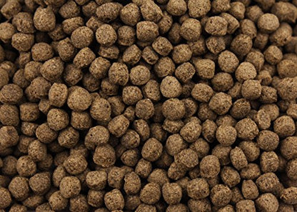 Turtle Bites (2.7 oz) - size: 2.7 ounce