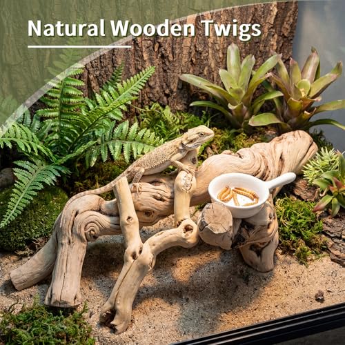 Natural Large Driftwood for Aquarium, 2 Pieces 10-12" and 16-20" King Root Branches for Reptile Bearded Dragon Lizard Gecko Climbing, Fish Tank Landscaping Decorations