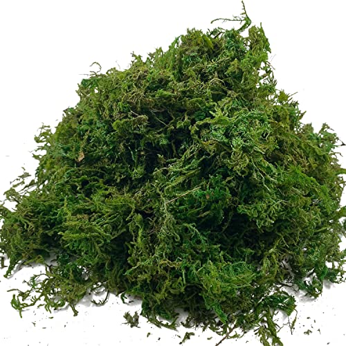 Artificial Dried Forest Moss Fake Moss Preserved Green Moss for Potted Plant Orchid Potting Mix Sphagnum Peat Moss Pole Craft Arts Floral Wedding Decor Centerpiece Fairy Garden Decoration 3.5oz