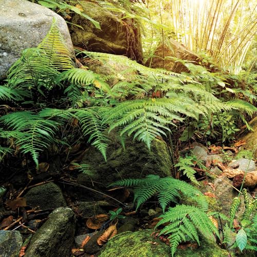 Galápagos (05400) Terrarium Background Clings, 11.125" x 36", Woodland - color: Woodland
