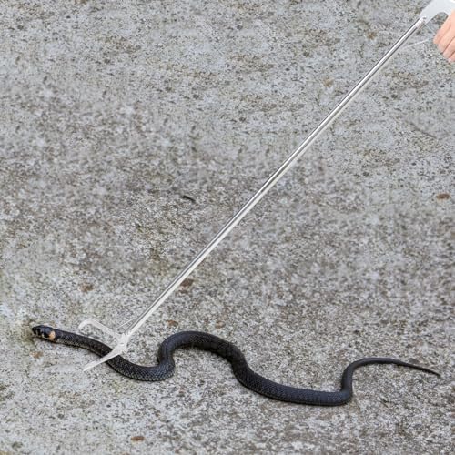 BESPORTBLE Snake Capture Hook Garbage Collector Snake Tong Crab Tools Snake Clips Reptile Tweezers Snake Pole Grabber and Catcher Grabber Tool to Feed Lizard Elder Stainless Steel