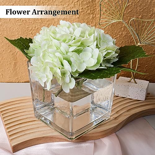 6 Pack Square Glass Vases 5" x5" x 5", Clear Flower Vases | Candle Holder for Centerpieces, Wedding Party Home Decor - size: 5inch