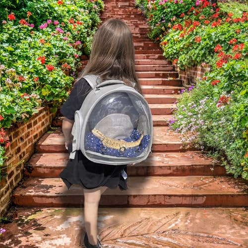 Leopard Gecko Travel Carrier,Bearded Dragon Travel Backpack with Harness and Leash Set,Space Capsule Clear Bubble Window Astronaut Reptile Carrier Backpack, Airline Approved - color: Grey