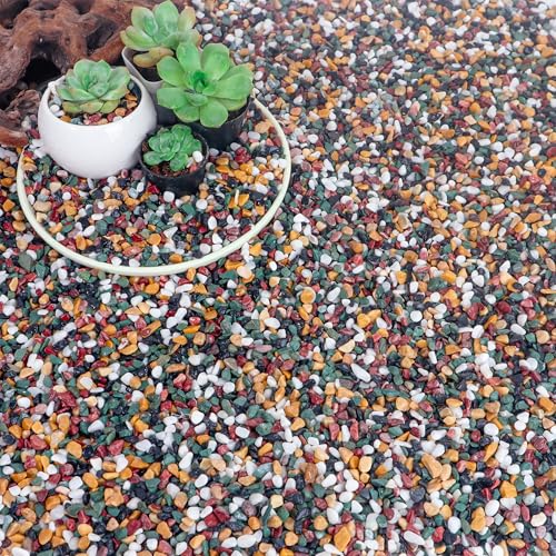 CJGQ 18lb Aquarium Gravel for Plants, 1/4Inch Fish Tank Gravel for Succulent Cactus and Bonsai, Decorative River Rocks Pebbles for Gardening, Flower Pots, Landscaping,Terrarium - color: Mixed Pebble, size: 18lb