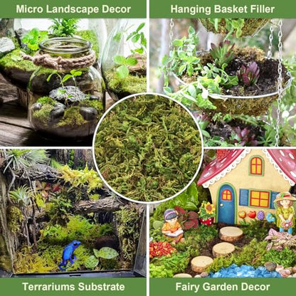 2.6LB Sphagnum Moss for Plants, 50QT Natural Long Fiber Orchid Moss | Drainage & Moisture Retention, Green Plant Moss for Orchid Repotting, Carnivorous, Succulents, Reptile Bedding & Terrariums - size: 2.6LB