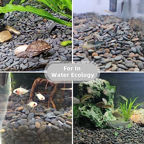 2.4lb River Rocks Pebbles for Plants & Succulents, Decorative Outdoor Landscaping & Aquarium Garden Rocks - size: 2.4LB, style: Small